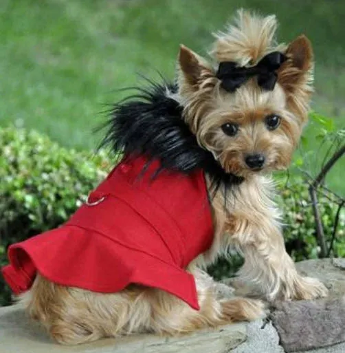 Red Wool Dog Coat with Faux Fur Collar